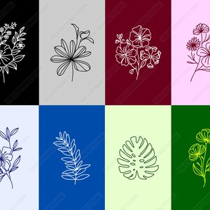 May include: A set of eight line art floral and leaf illustrations in various colors. The illustrations include flowers, leaves, and a monstera leaf.