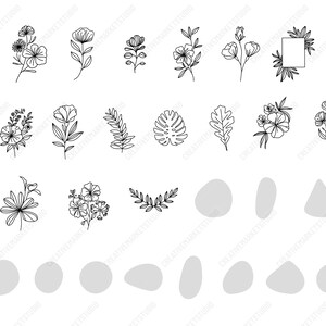 May include: A set of 25 black and white line art illustrations of flowers, leaves, and geometric shapes. The illustrations are perfect for creating digital or physical designs.