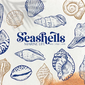 Pacchetto SVG di conchiglie, clipart nautiche, PNG di vita marina, animali dell'oceano, conchiglie disegnate a mano, conchiglie di mare da spiaggia Svg, disegni blu costieri