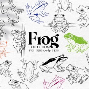 Hand-Drawn Frog Clipart Bundle: SVG, PNG, EPS (Digital Download
