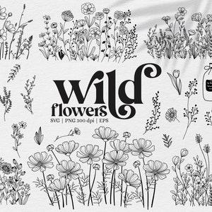 Prairie de fleurs sauvages SVG, boîte en verre botanique, compositions florales, fleurs élégantes, conception de gobelet, bouquet dessiné à la main, fichiers pour Cricut