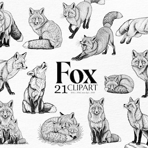 Puede incluir: Una colección de 21 ilustraciones de zorros en blanco y negro. Las imágenes muestran zorros en varias poses, incluyendo de pie, corriendo, aullando y acurrucados. La palabra "Fox" se muestra en letras grandes y en negrita.