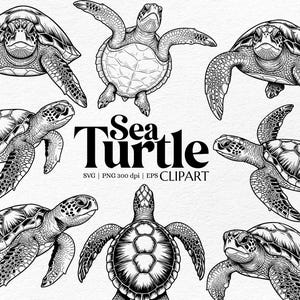 Könnte beinhalten: Schwarz-Weiß-Illustrationen von Meeresschildkröten. Das Bild zeigt detaillierte Zeichnungen von Meeresschildkröten in verschiedenen Posen. Der Text "Sea Turtle" wird fett dargestellt, zusammen mit "SVG | PNG 300 dpi | EPS CLIPART".