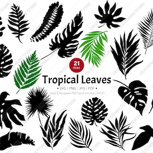 Tropical Leaves SVG Bundle - Jungle Palm and Monstera Leaf Cut Files - Silhouette Tropical Plant for Botanical Art