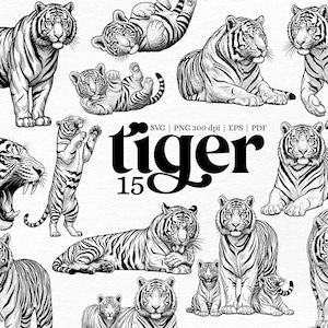 May include: A collection of black and white tiger illustrations in different poses, such as standing, lying, and roaring. The word "tiger" is prominently displayed in a stylized font, accompanied by the number "15". The image is labeled with "SVG | PNG 300 DPI | EPS | PDF".