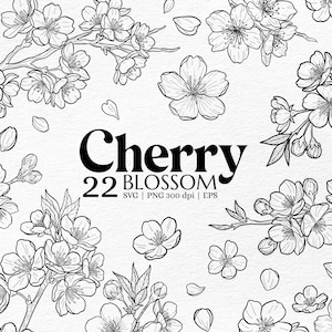 May include: A monochrome illustration featuring cherry blossom branches, individual flowers, and scattered petals. The word "Cherry" is prominently displayed, with "Blossom" beneath it. The number "22" is also visible.