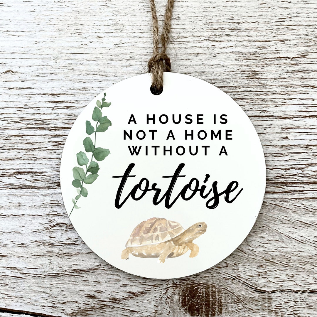 Tortoise Hanging Decoration, Tortoise Gifts, Tortoises Home Decor