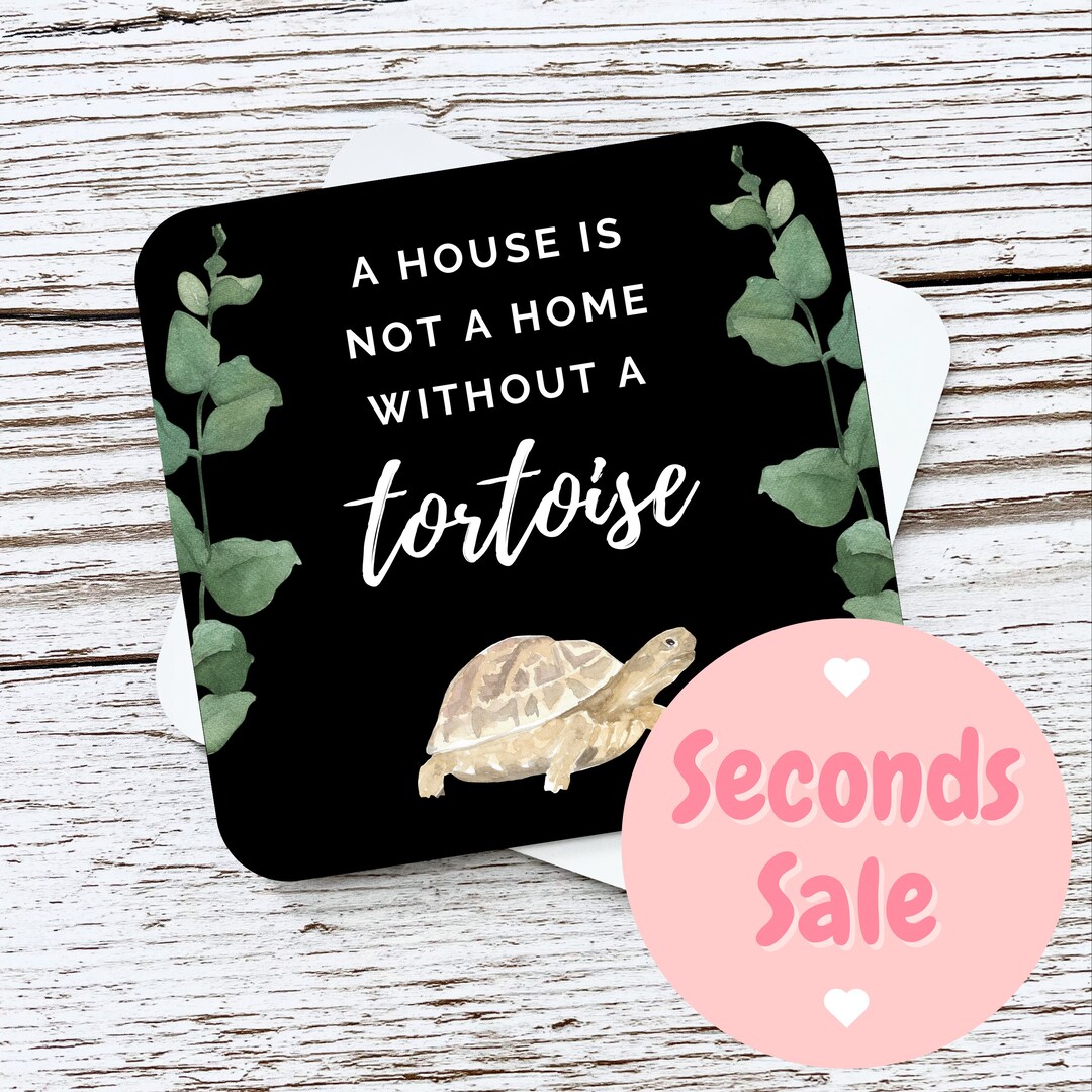 Tortoise Coaster Tortoise Gifts Tortoises Home Decor Etsy UK