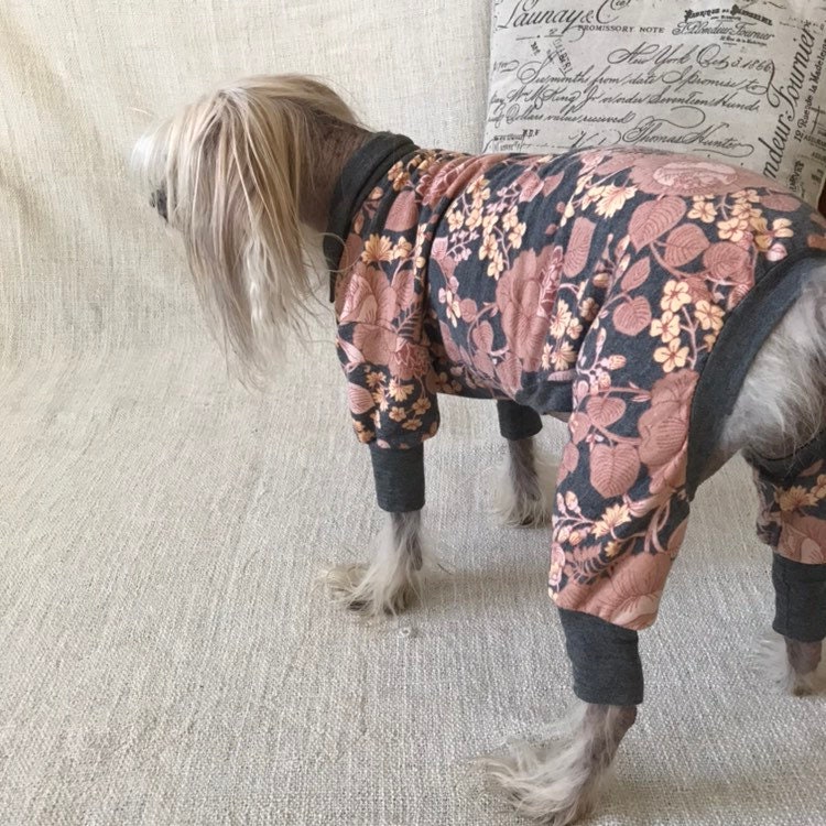 Blumenhund Pyjamas Kleidung für haarlose/kleine Hunde Etsy
