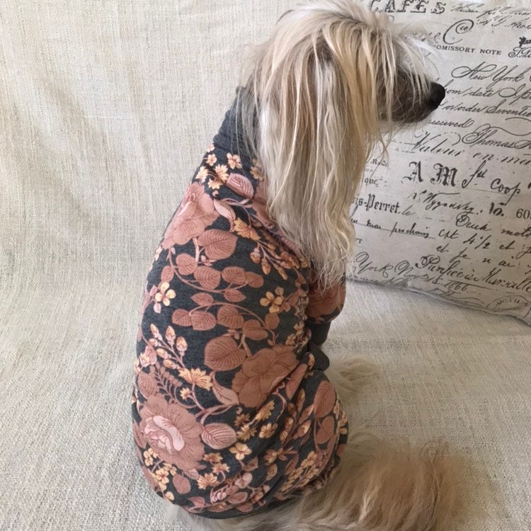 Blumenhund Pyjamas Kleidung für haarlose/kleine Hunde Etsy