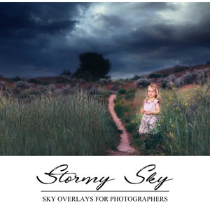 Könnte beinhalten: Ein junges Mädchen in einem rosa Kleid steht auf einem Feld mit hohem Gras, auf dem ein Feldweg zu ihr führt. Der Himmel ist dunkel und stürmisch mit ein paar sichtbaren Wolken. Der Text "Stormy Sky" ist in einer kursivschriftlichen Schrift unter dem Bild geschrieben.