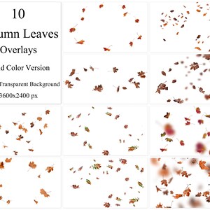 May include: Ten autumn leaves overlays in vivid colors. The leaves are on a transparent background and are 3600x2400 pixels.