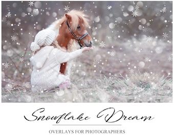Snowflake Overlays - Magic Winter Overlay - Snow Overlay - Dreamy Winter Background - Winter Overlay for Photoshop - PNG - Photoshop Overlay