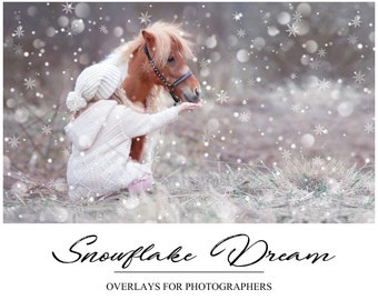Snowflake Overlays - Magic Winter Overlay - Snow Overlay - Dromerige Winter Achtergrond - Winter Overlay voor Photoshop - PNG - Photoshop Overlay