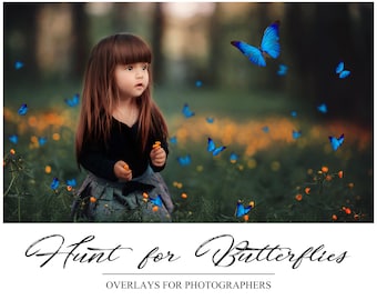 Butterfly Overlays - Photoshop Overlays - Colorful Butterflies - Summer Background  - PNG - Photography Overlays - Photographers Tool