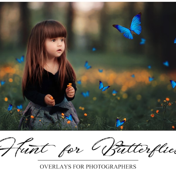 Schmetterling Overlays - Photoshop Overlays - bunte Schmetterlinge - Sommer Hintergrund - PNG - Fotografie Overlays - Fotografen Werkzeug
