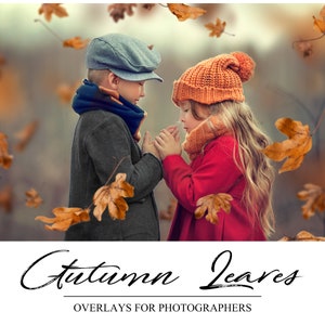 Autumn Leaves Overlays - Photoshop Overlays - Fall PS Overlay - Autumn Background  - PNG - Photography Overlays - Falling Leaves Backdrop