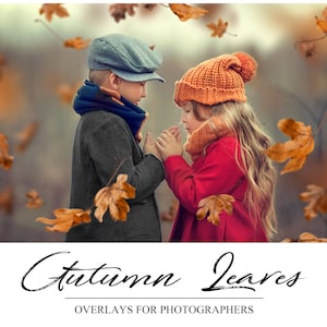 Autumn Leaves Overlays - Photoshop Overlays - Fall PS Overlay - Autumn Background  - PNG - Photography Overlays - Falling Leaves Backdrop