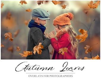 Superposiciones de hojas de otoño - Superposiciones de Photoshop - Caída PS Superposición - Fondo de otoño - PNG - Superposiciones de fotografía - Caída de hojas de fondo