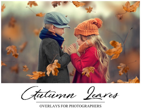Autumn Leaves Overlays - Photoshop Overlays - Fall PS Overlay - Autumn Background  - PNG - Photography Overlays - Falling Leaves Backdrop