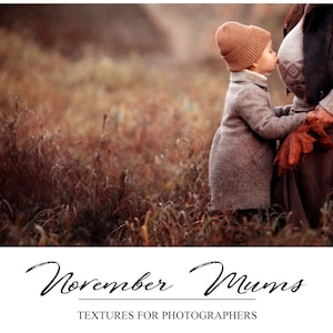 Autumn Textures - PS Textures - Photography Textures - Photoshop Overlays - Artistic Textures - Grunge - Subtle - Autumn Colors Background