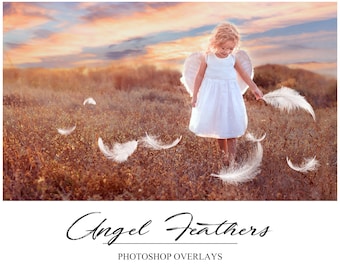Angel Feather Overlays - Photoshop Overlays - Angel Overlay - Dreamy Feathers - White Feather - PNG - Photo Overlays - Photographers Tool