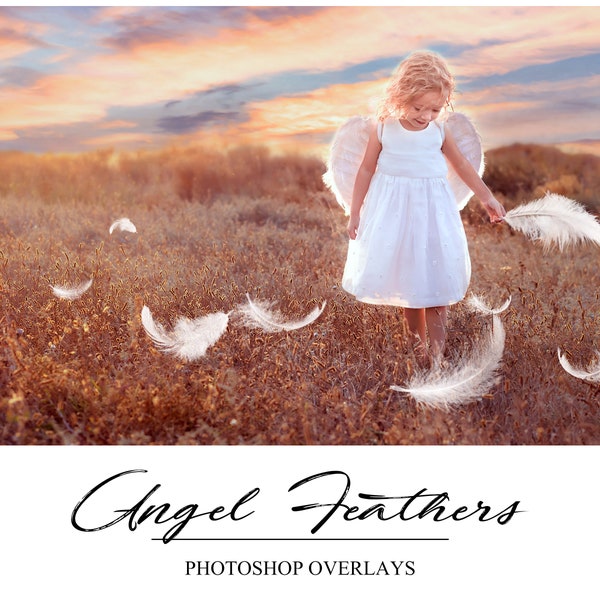 Angel Feather Overlays - Photoshop Overlays - Angel Overlay - Dreamy Feathers - White Feather - PNG - Photo Overlays - Photographers Tool