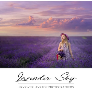 Purple Sky Overlays - Photoshop Overlay - Lavender Sky - Photography Background - Sunset Sky Background - Vibrant Sky Backdrop - Evening Sky