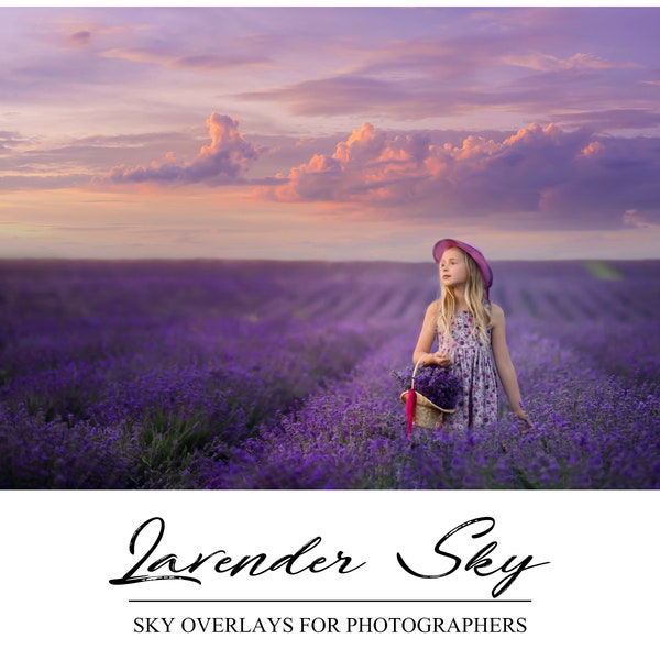 Purple Sky Overlays - Photoshop Overlay - Lavender Sky - Photography Background - Sunset Sky Background - Vibrant Sky Backdrop - Evening Sky