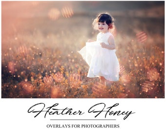 Honey Gold Light Overlays - Photoshop Overlays - Light Leaks Overlay - Dreamy Light - Autumn Light - Photography Overlays - Autumn Bokeh