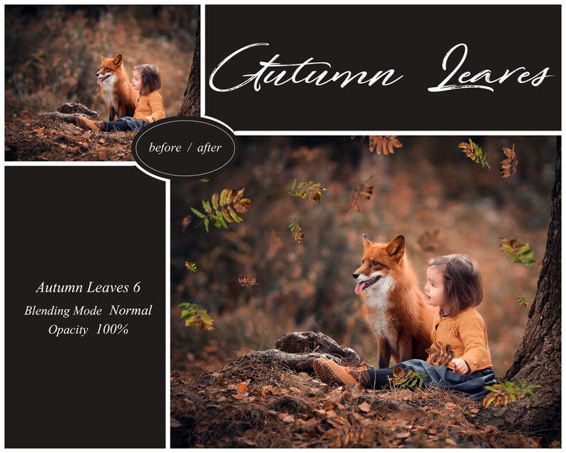May include: A young girl sits with a red fox in a forest setting. Autumn leaves fall around them. The image is labeled "Autumn Leaves 6" with the text "Blending Mode Normal" and "Opacity 100%".