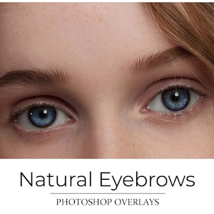 Augenbrauen Overlays - PNG auf transparentem Hintergrund - Portrait Retusche - Brauen PNG - Portrait Overlays - Photoshop Overlay - Photographer Tool