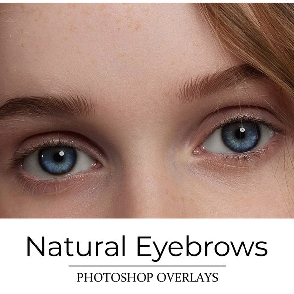 Eyebrow Overlays - PNG on Transparent Background - Portrait Retouch - Brows PNG - Portrait Overlays -  Photoshop Overlay - Photographer Tool