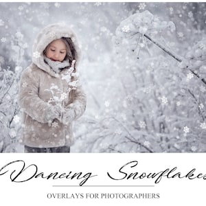 Snowflake Overlays - Magic Winter Overlay - Snow Overlay - Dreamy Winter Background - Winter Overlay for Photoshop - PNG - Photoshop Overlay