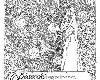 Vintage Peacock, Premium Adult Line Art Coloring Page PDF