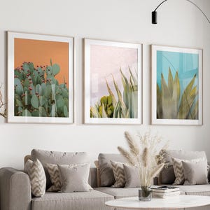 Puede incluir: Tres impresiones botánicas enmarcadas de plantas del desierto, incluyendo un cactus y un agave, colgadas en una pared blanca sobre un sofá gris con almohadas. El sofá está en una sala de estar con una alfombra blanca, una mesa de café y un sillón blanco esponjoso.