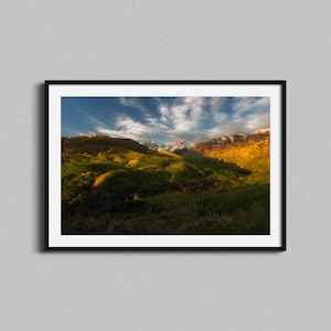 Aspen Forest Photo Print | Fall Photography Framed Photo | Colorado Autumn Photograph | Mountains Forest Print | Nature Landscape Wall Art