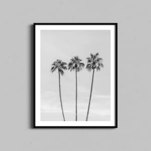 Fine Art Palmen Poster | Strand Ozean Fotografie gerahmt Schwarzweiß Kunst | Küsten Wohnwand Dekor | Tropische minimale Fotografie