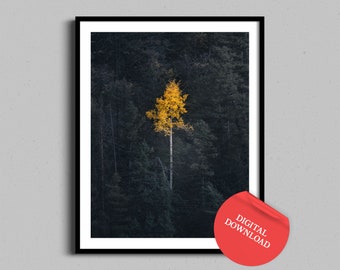 Aspen Tree Digital Download, Autumn Wall Art Instant Printable Poster, Downloadable Prints, Fall Photography Colorado Mountains Forest Print