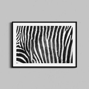 Zebra Stripes Wall Art | Abstract Photography Print | Black and White Photo | Minimal Texture Artwork | Africa Animal Art, Modern Home Decor