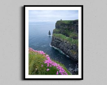 May include: A framed photograph of a scenic view of the Cliffs of Moher in Ireland. The photo shows a rocky cliff face with green grass and a small building on top. The cliff drops down to a blue ocean with a small island in the distance. Pink flowers are in the foreground.