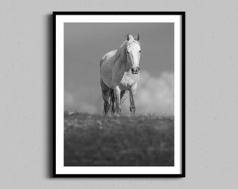 Väggkonst med vit häst, riddekor, westernkonst, bondgårdstryck, vilda hästar, svartvitt fotografi, cowboyheminredning