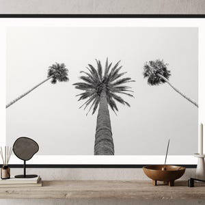 Palmen Poster | Küsten Wohnkultur | Tropische Wandkunst | Schwarz-Weiß-Kunstwerk | Boho Chic Fotografie | Hawaii Ozean Fotokunst