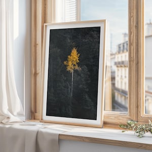 Espe Baum Wand Kunst | Herbst Fotografie Druck | Herbst Fotografie | Colorado Berge Wald Foto | Natur Landschaft und Herbst Kunst Poster