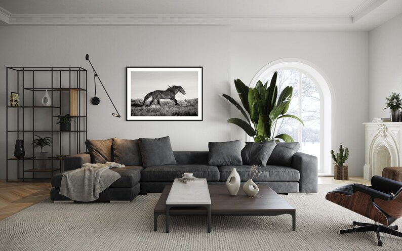 May include: A black and white photograph of a horse running through a field, framed and hanging on a white wall in a living room. The room features a gray sectional sofa, a coffee table, a potted plant, and a window with a view of a snowy landscape.