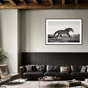 May include: A black and white photograph of a horse running through a field of tall grass. The horse is in the middle of the image and is running towards the right side of the image. The photograph is framed in a black frame and is hanging on a wall in a living room.