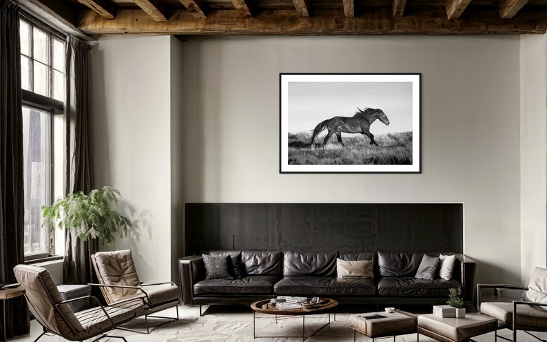 May include: A black and white photograph of a horse running through a field of tall grass. The horse is in the middle of the image and is running towards the right side of the image. The photograph is framed in a black frame and is hanging on a wall in a living room.