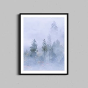 Forest Wall Art, Fine Art Trees Photography Print, Evergreen Trees Misty Forest Photo, Foggy Landscape, Nature Photography Nordic Home Decor