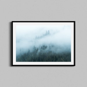 Redwood Forest Art Print | Modern Wall Art | Foggy Landscape Photo | California Trees | Misty Forest Photography Artwork | Nature Home Decor