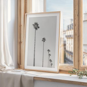 Palmen Poster | Tropische Wandkunst | Küsten Wohnkultur | Boho Foto Kunstwerk | Schwarz-Weiß-Fotografie | Kalifornien Hawaii Ocean Art